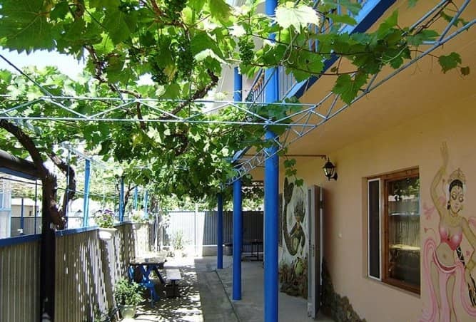 Guest House Ariel: фото 4