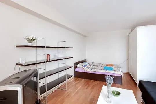 Nice-Flats Na Dinamo Apartments: фото 4