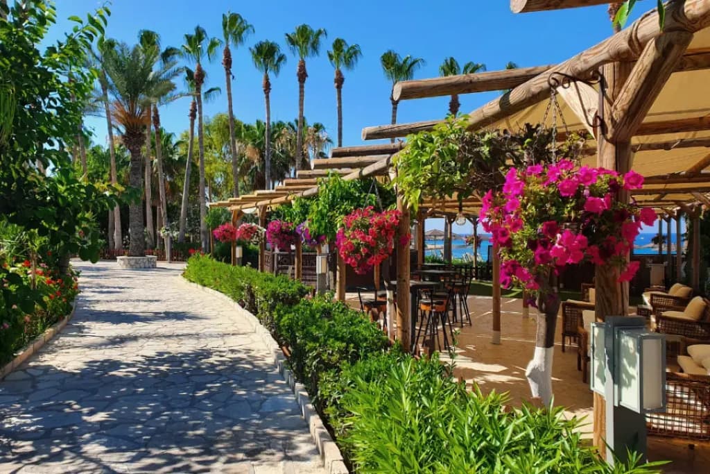 Картинка отеля