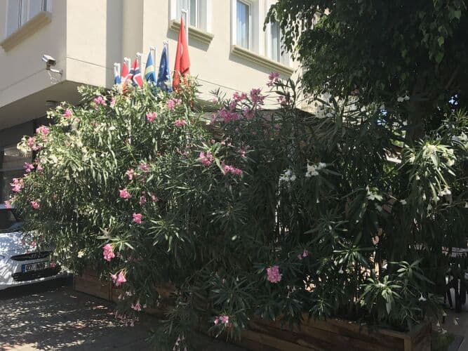 Картинка отеля