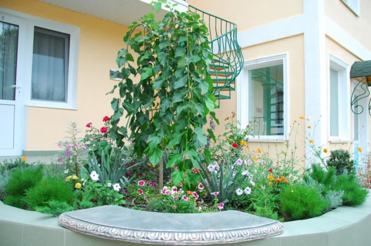 Картинка отеля