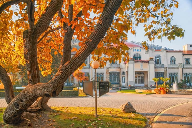 Картинка отеля