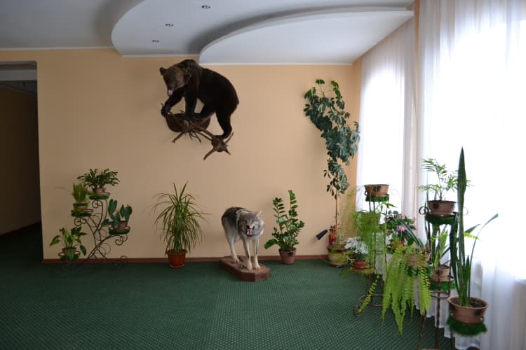 Картинка отеля
