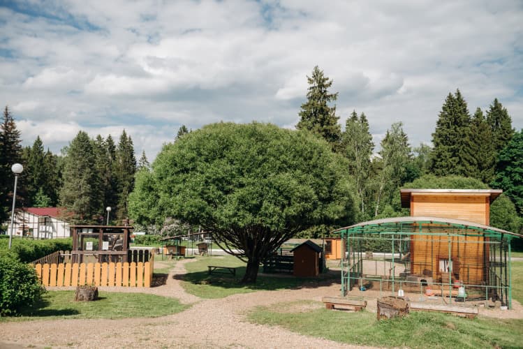 Картинка отеля
