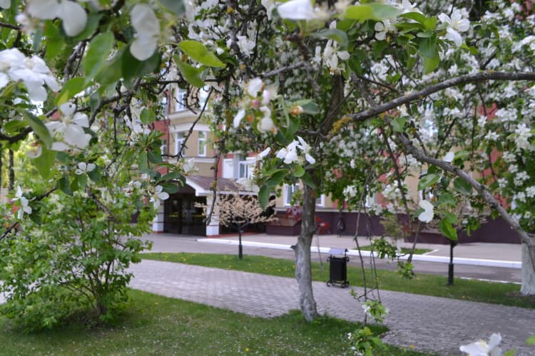Картинка отеля