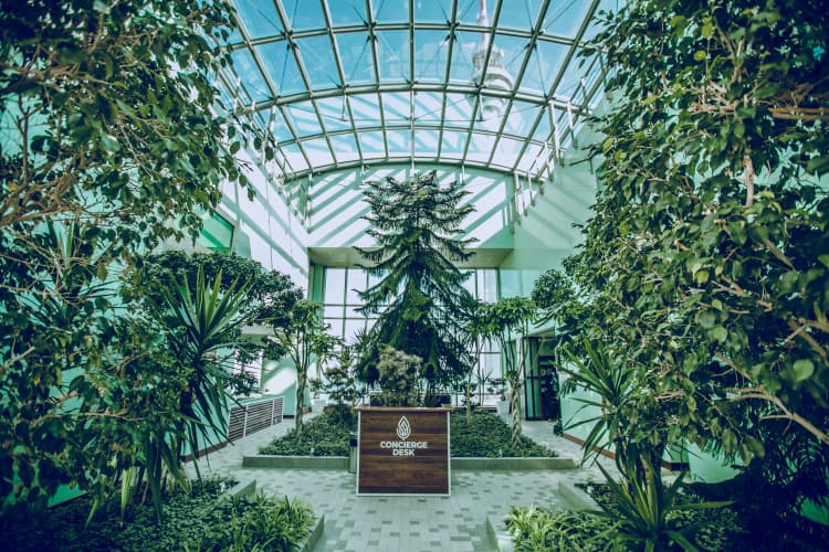 Картинка отеля