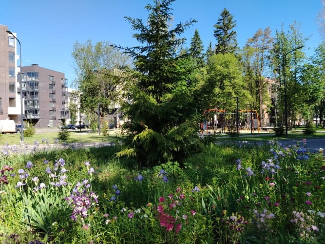 Картинка отеля
