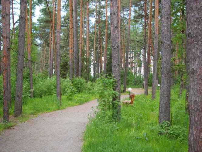 Картинка отеля
