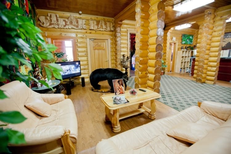 Картинка отеля