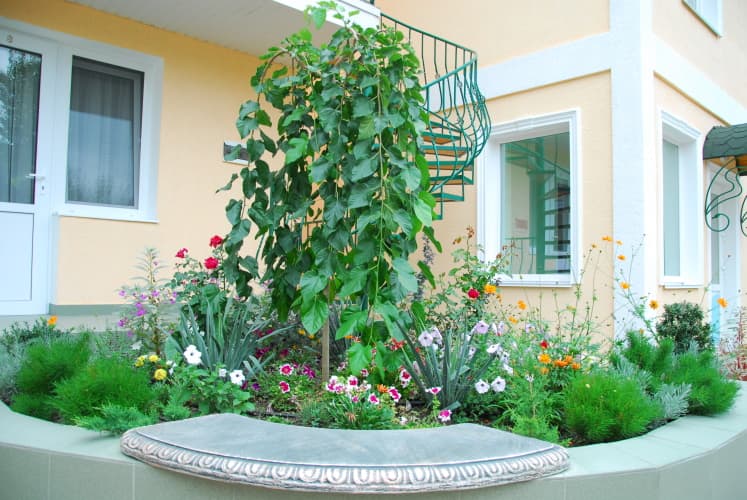 Картинка отеля