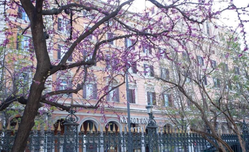 Картинка отеля