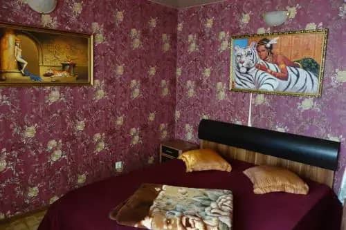 Guest House Safari: фото 5