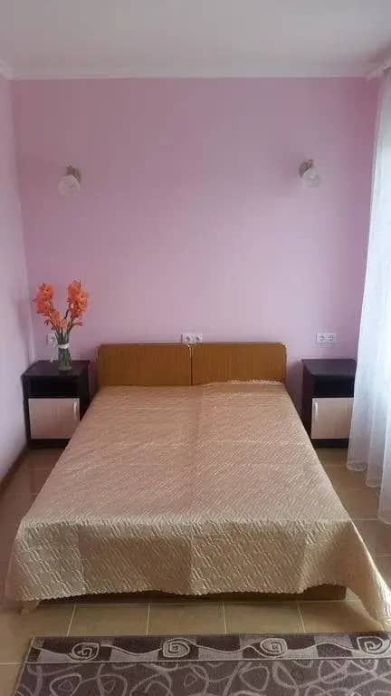 Guest house berendei2000: фото 6