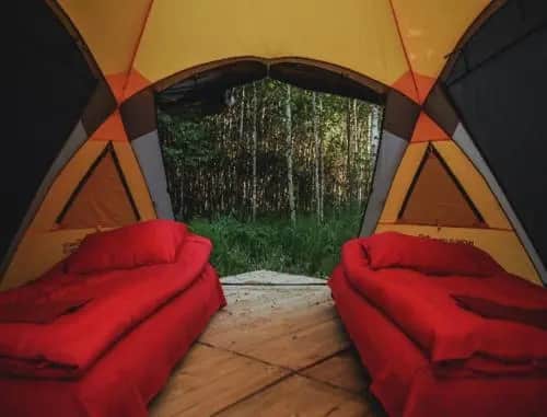 Farm-Camping Nikola-Lenivets: фото 2