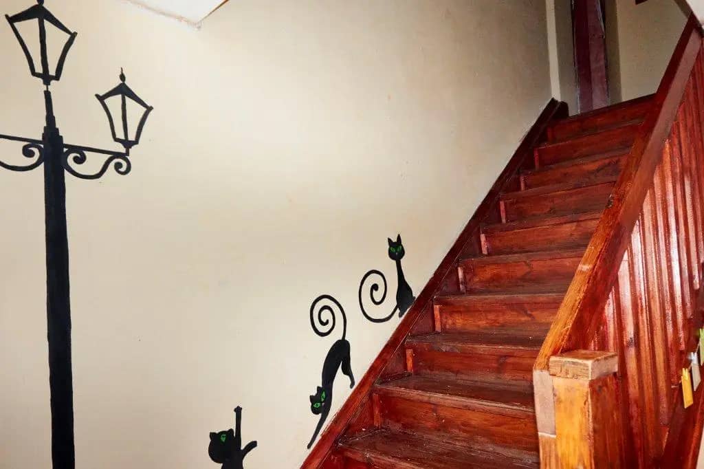 V&N Hostel: фото 5