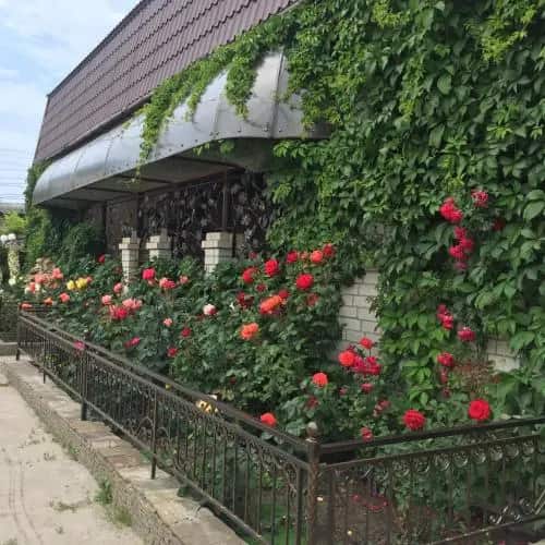 Angelsky Rai Mini-Hotel: главное фото 1