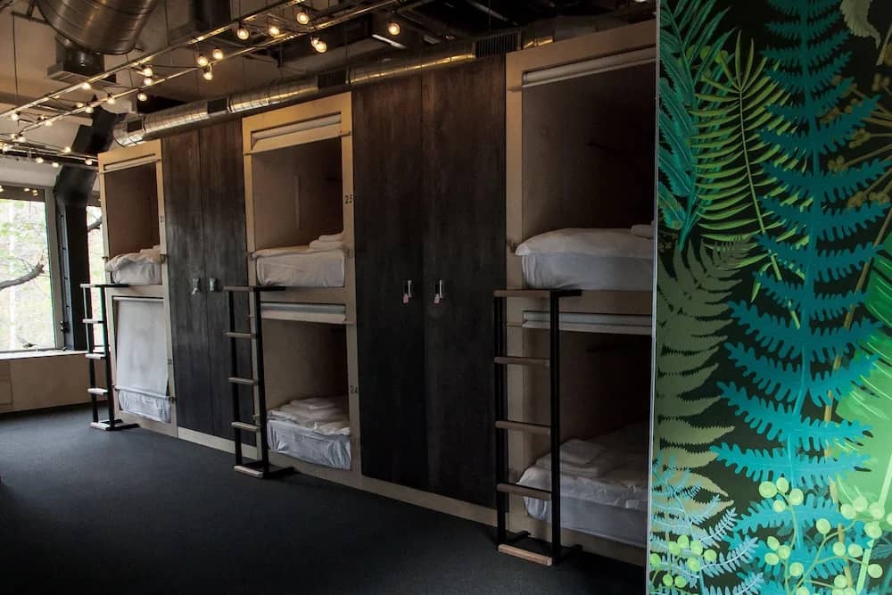 Botanist Hostel: фото 6
