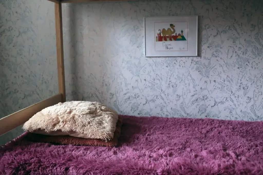 Camel Hostel: главное фото 1