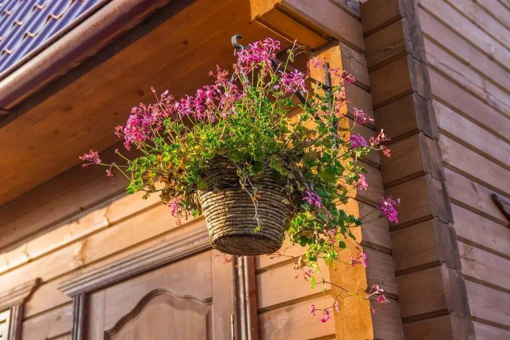 Коттедж Арина: главное фото 1