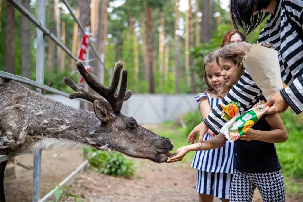 Чкаловские дачи: фото 5