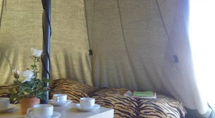 CampTom Camping: фото 4