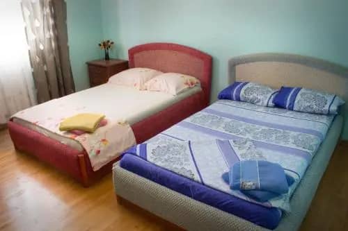 Filin Guest House: фото 6
