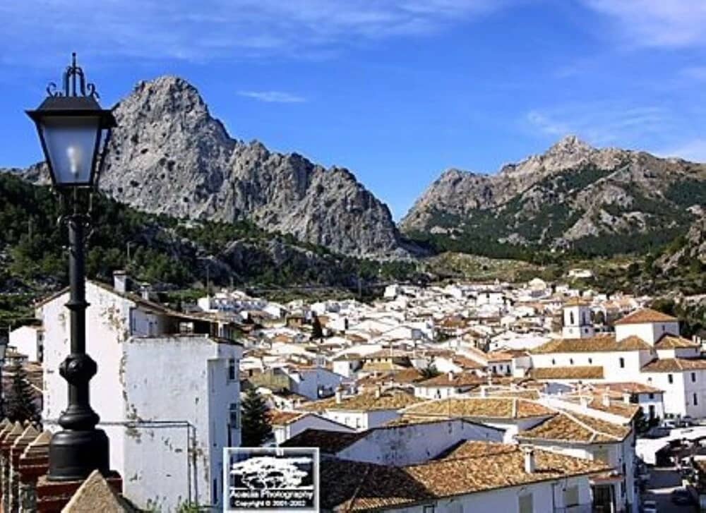 103982 - House in Grazalema: фото 5