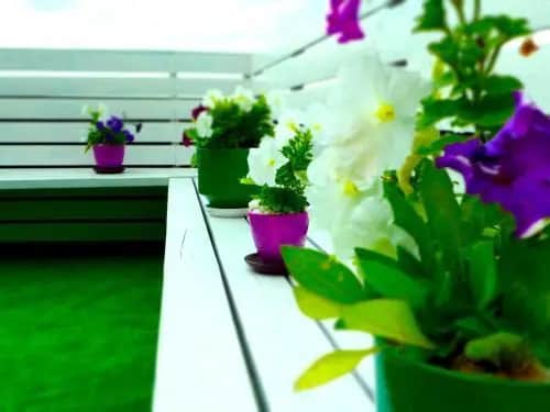 Penthouse Belgorod: фото 2