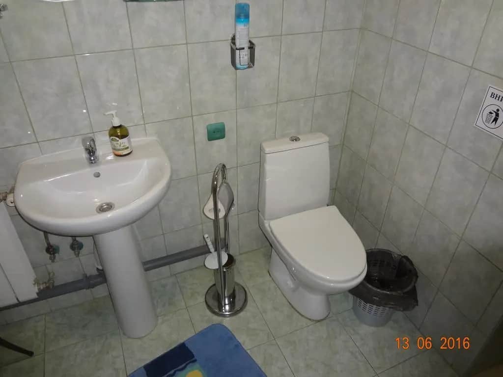 Дама с собачкой: фото 3