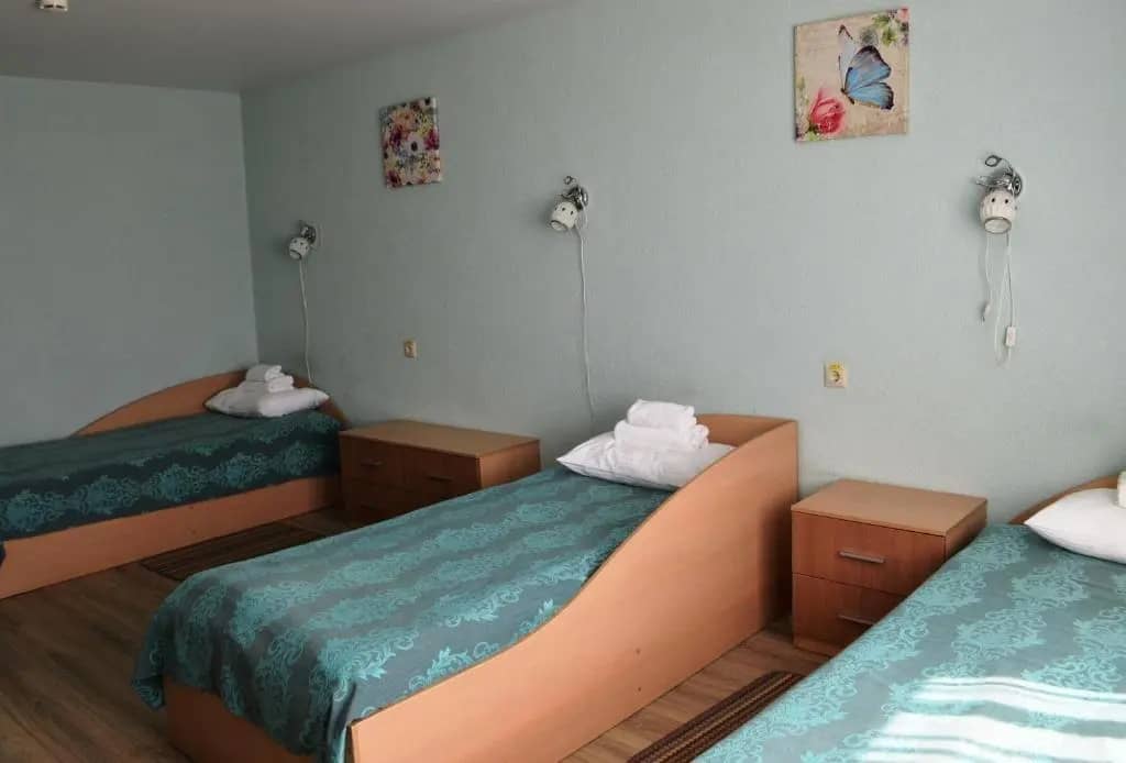Okolitsa Hotel: фото 5