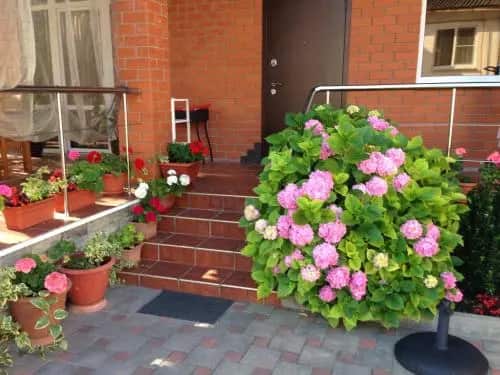 Guest House Ulyanovskaya 8: главное фото 1
