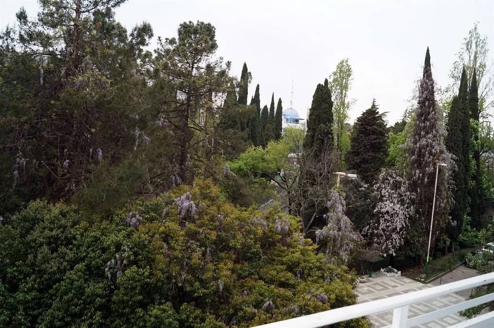 Sun-Svet Guesthouse: фото 5