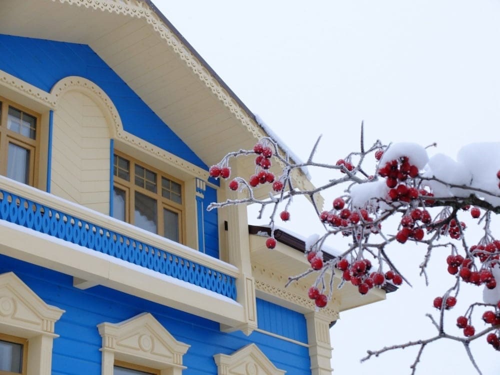 Dacha Beliy Bereg фото