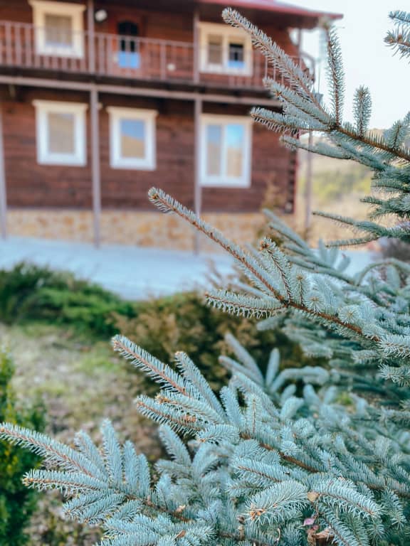 Гостевой Дом Олимпия: фото 4
