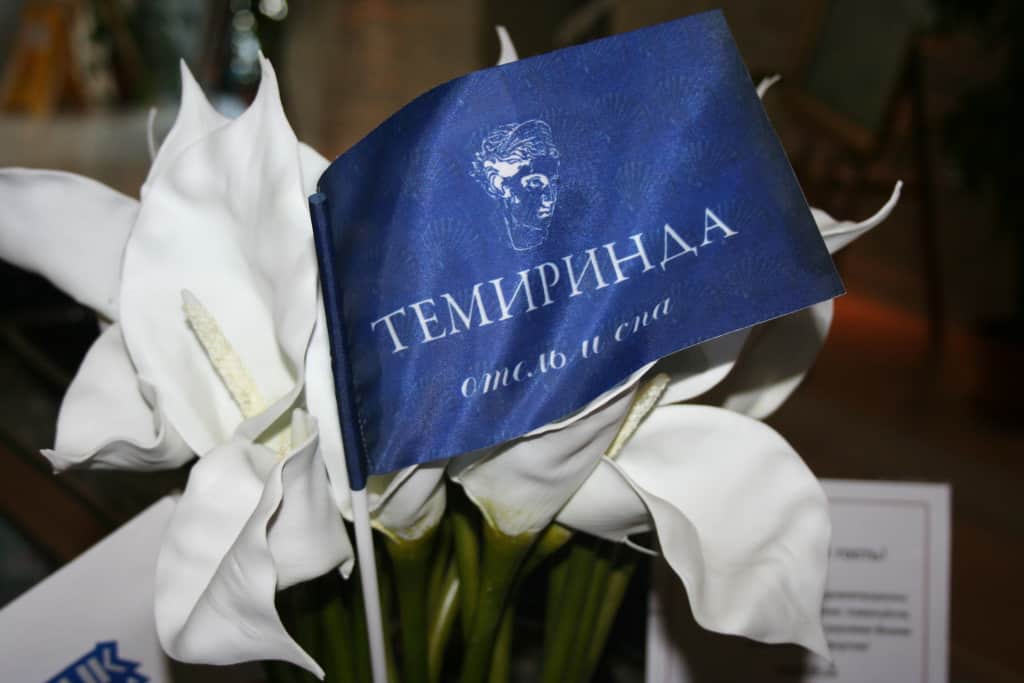 Темиринда отель и спа: фото 3