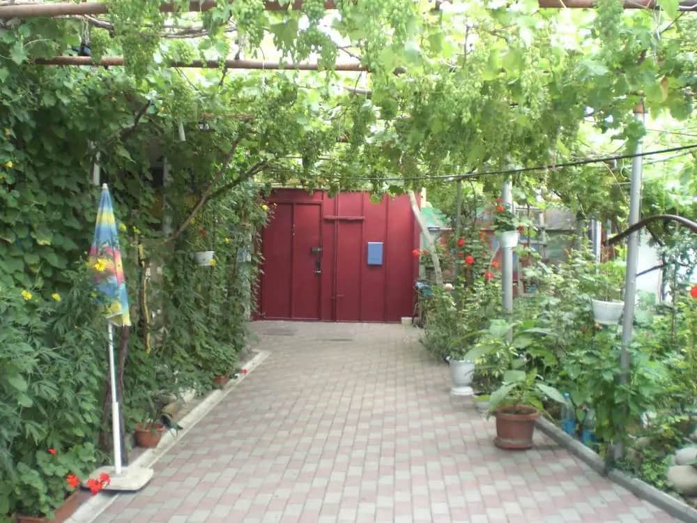 Гостевой Дом Ясень: фото 3
