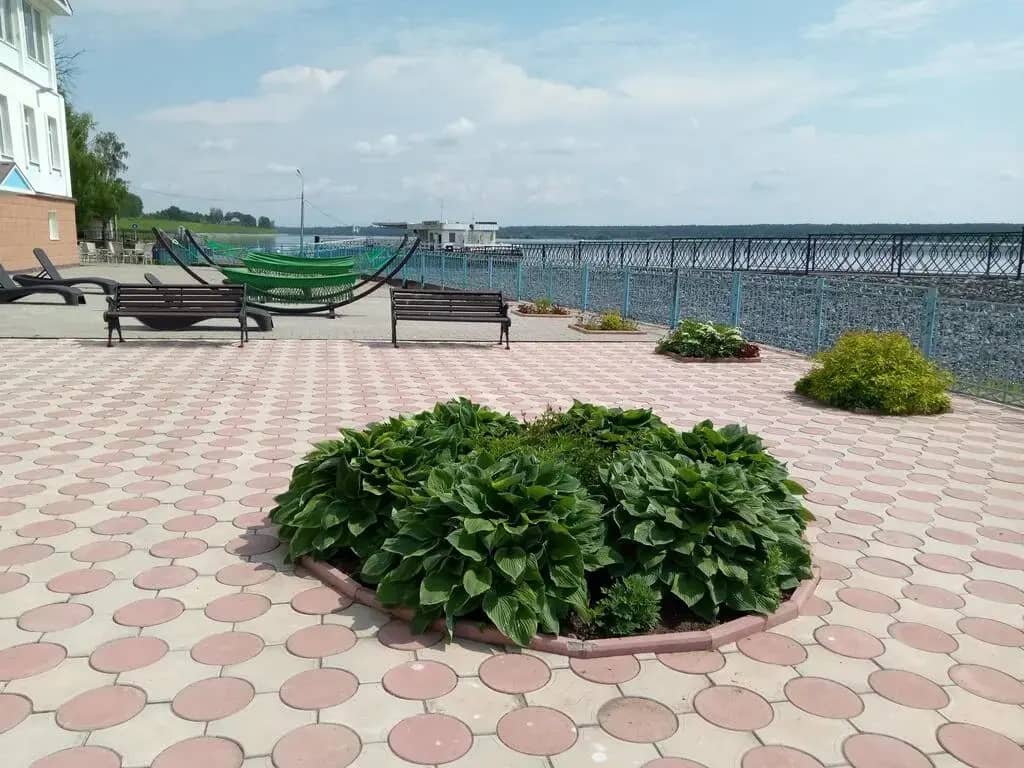 Отель Мышк Инн: фото 6