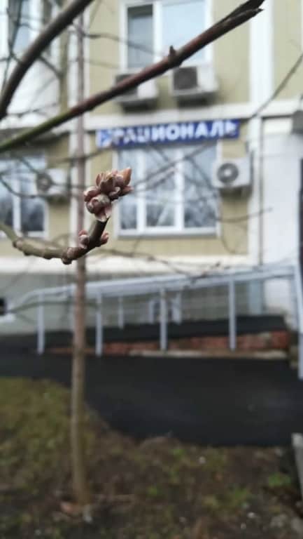 Хостел Рациональ Кутузовский: фото 2