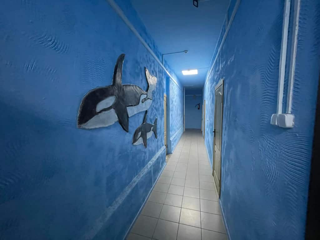 Хостел Welcome Home: главное фото 1