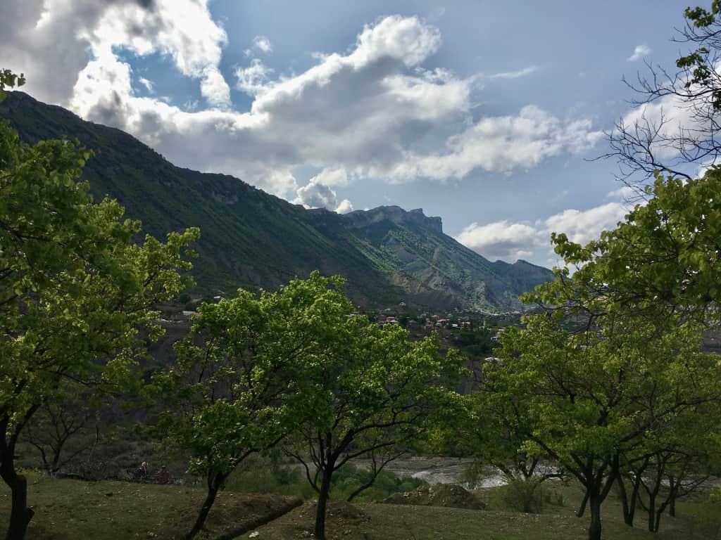 Глэмпинг Абрикос Village: фото 3