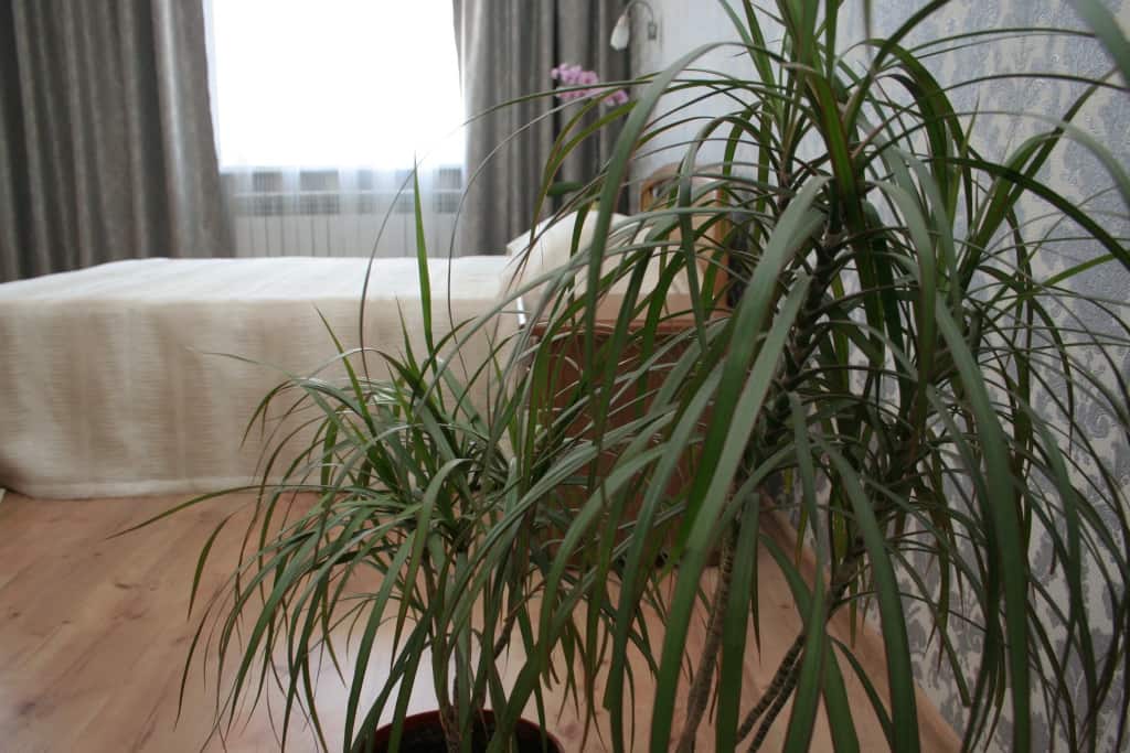 Гостевой дом Travel House: главное фото 1