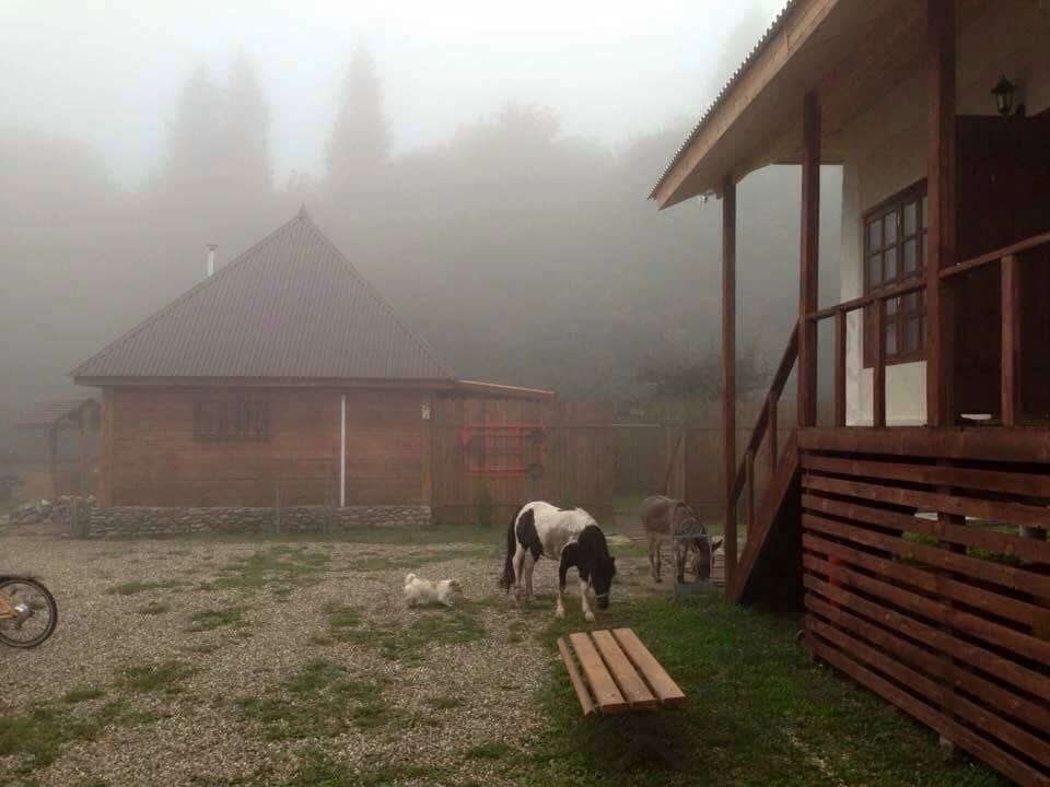 Ферма Колхидские Ворота: фото 5
