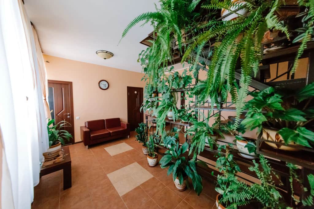 Гостевой дом B&B: фото 3