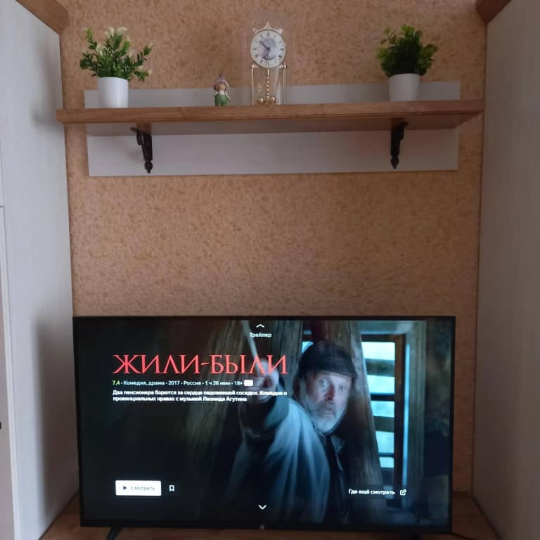 Квартира Комфорт-класса на Левитана: фото 4