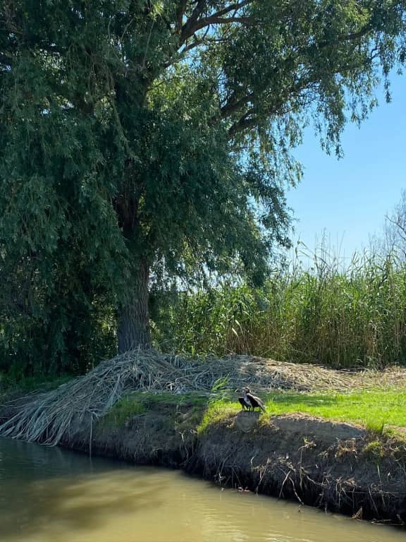 База отдыха Грэй Гуз: фото 4