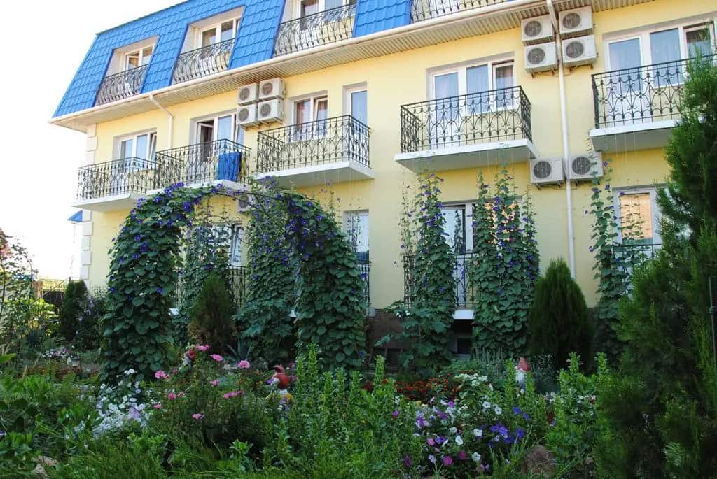 Guest House Skazka: главное фото 1