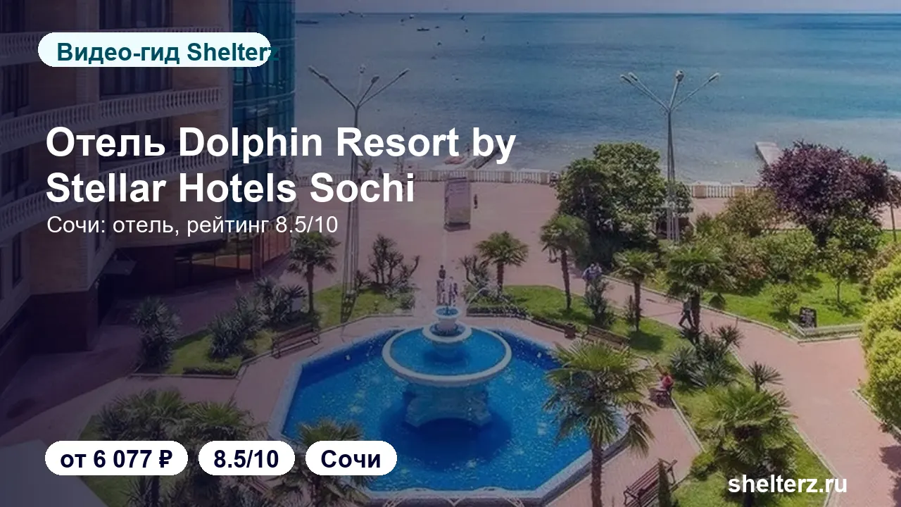 Видеообзор Dolphin Resort Hotel Conference: номера, локация и цена от